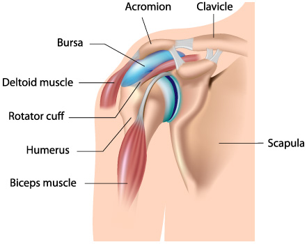 ruperea ligamentului acromial al tratamentului articulației umărului